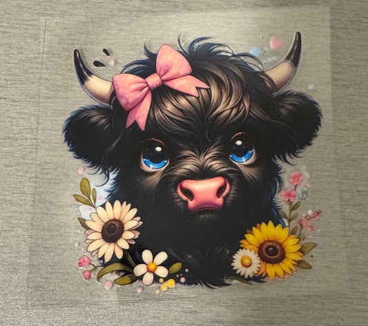 Cow W/ Blue Eyes