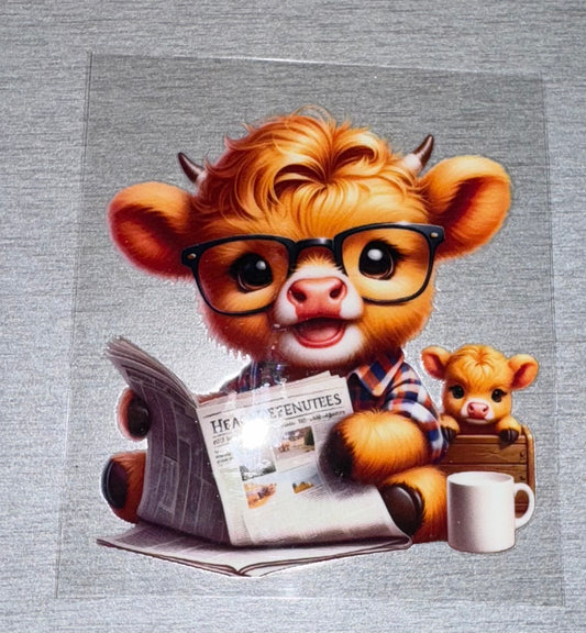 Cow W/ Newspaper