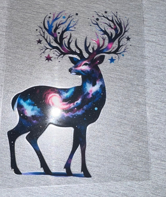 Animal - 3